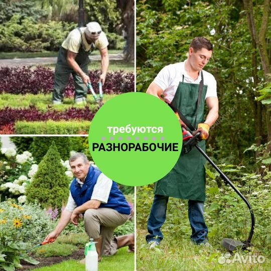 Требуется садовник и разнорабочие