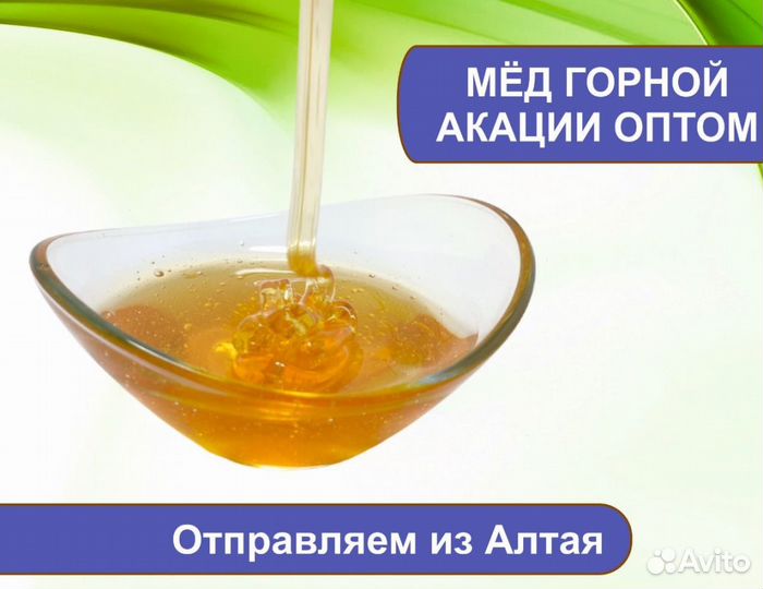 Алтайский мёд (оптом)