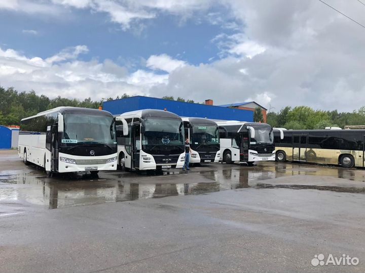 Аренда автобусов для свадеб и туристических групп