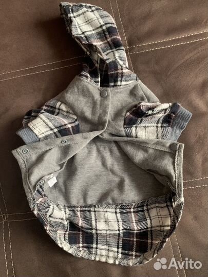 Одежда для животных