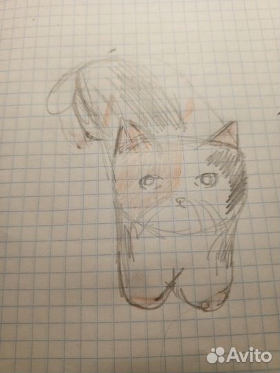 Нарисую вашего питомца за любую сумму