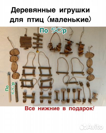 Корм, вкусняшки и аксессуары для птиц