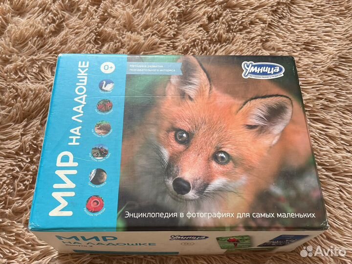 Умница Методическое пособие Мир на Ладошке