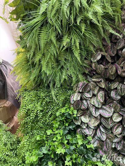 Модуль с растениями