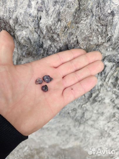 Такси -трансфер