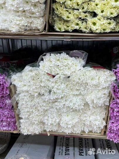 Хризантема кустовая букет цветы доставка маме