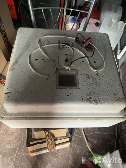 Инкубатор для яиц