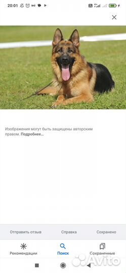 Отдам бесплатно