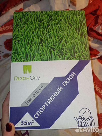 Семена газонной травы