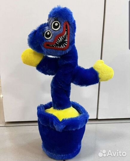 Хаги ваги кактус