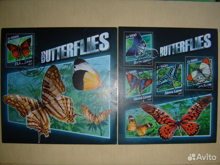 Фауна. Бабочки