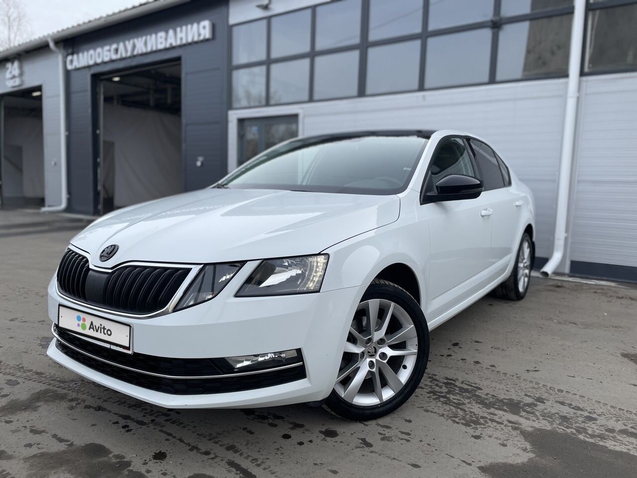 Skoda Octavia: фото владельца