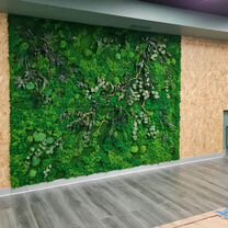 Панно из растений и мха без ухода