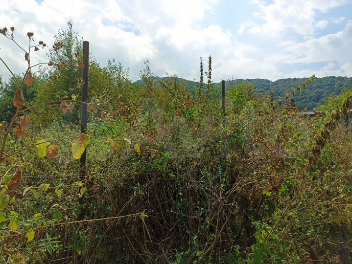 Участок 6,3 сот. (ИЖС)