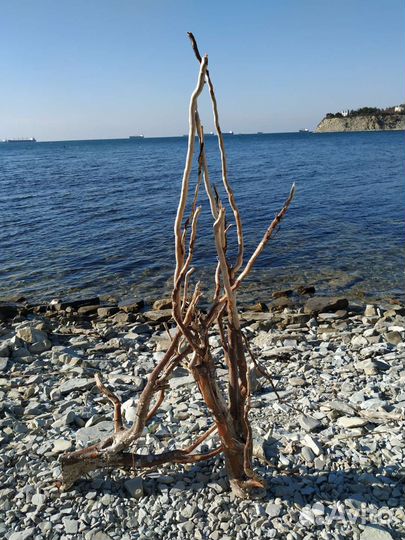 Светильник дрифт-вуд