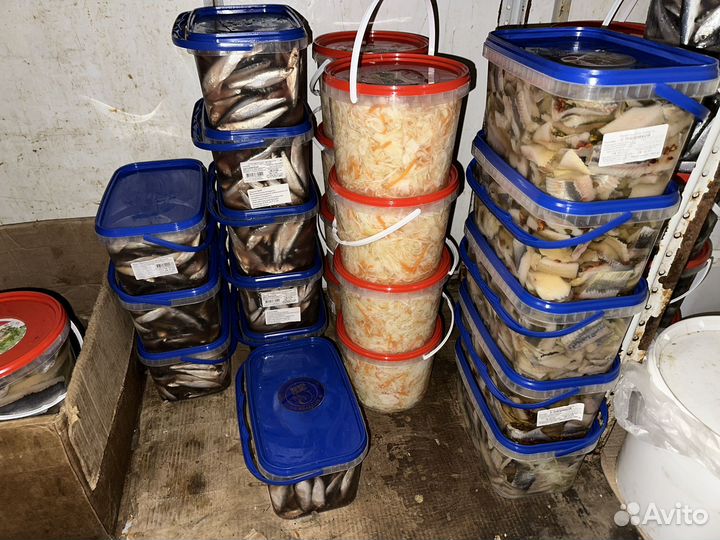 Продажа рыбы оптом