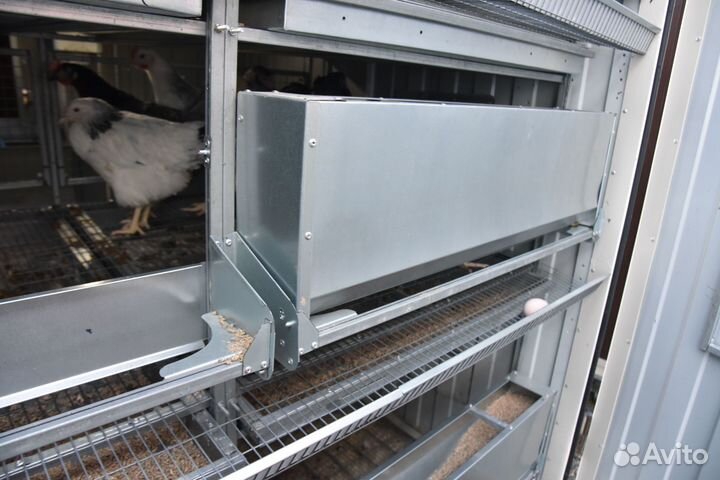 Курятник для кур-несушек трёхъярусный
