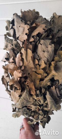 Дубовые веники для бани