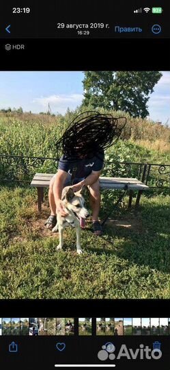 Отдам бесплатно в добрые руки