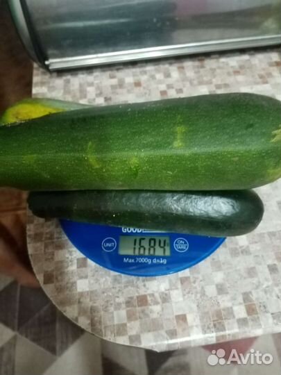 Огурцы 3,8 кг, кабачки 1,7