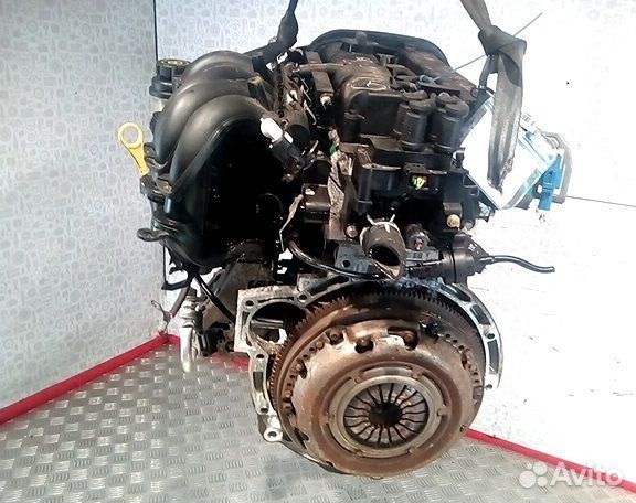 Двигатель Ford Focus 2 shda shdb 1,6 100 л.с