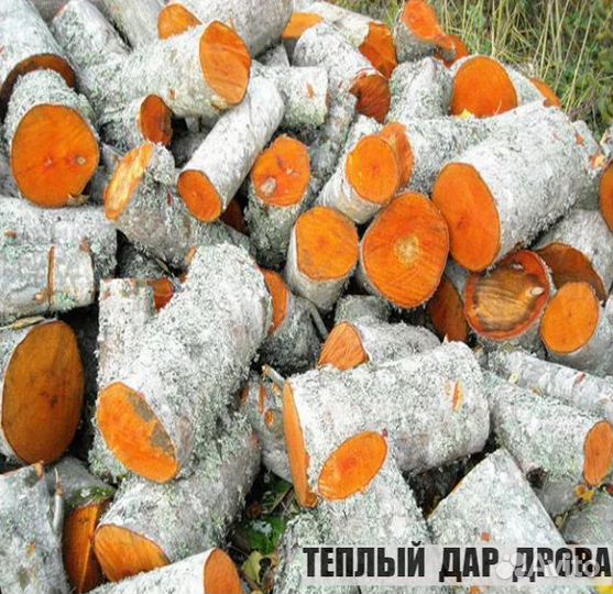 Дрова