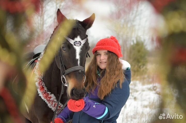 Катание и фотосессия на лошадях, обучение