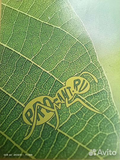 Муравьиная ферма (без муравьев)