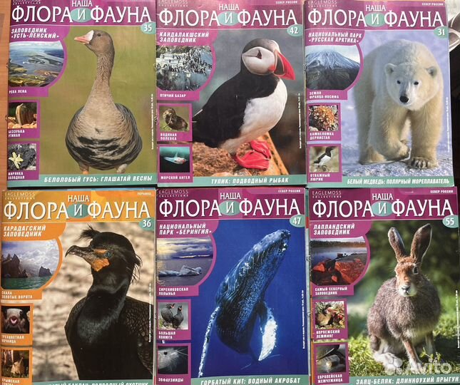 Наша флора и фауна Журнал