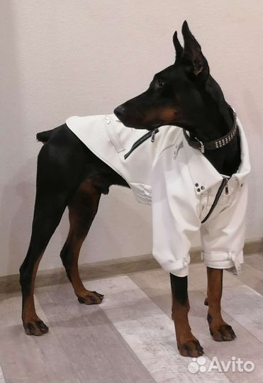 Куртка- косуха для собак