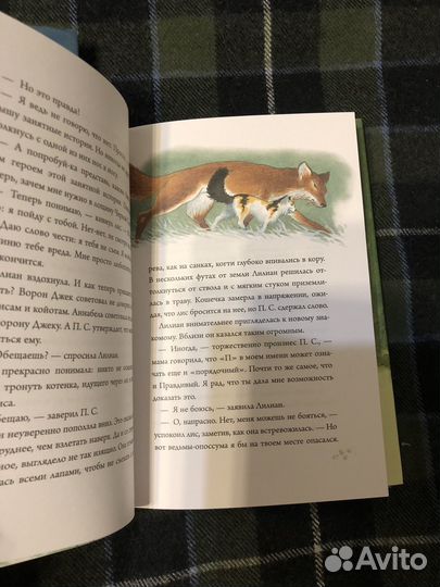 Чарльз де Линт. Кошки дремучего леса