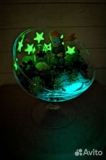 Флорариум моссариум Маленький принц