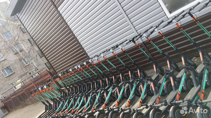 Самокаты Ninebot для шеринга