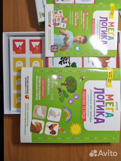 Мегалогика