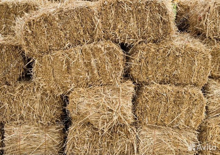 Сено и солома. Доставка. Продажа