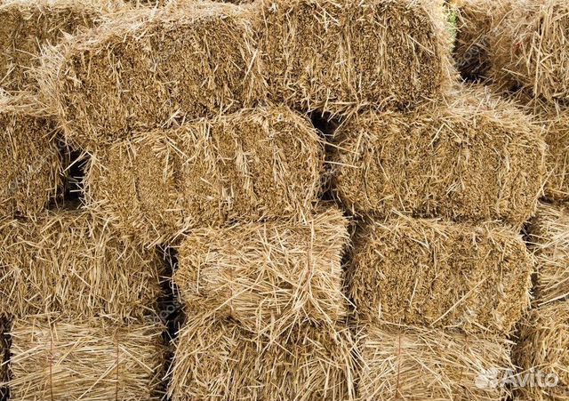 Сено и солома. Доставка. Продажа