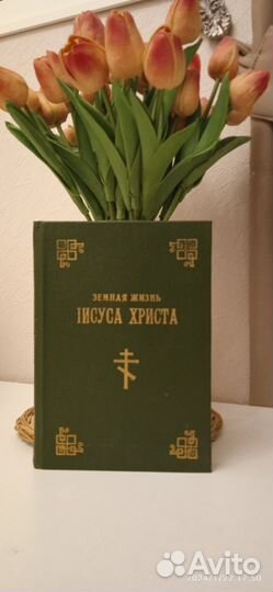 Земная жизнь Иисуса Христа (репринтное издание)
