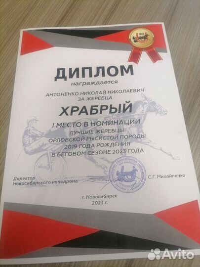 Рысак и орловцы