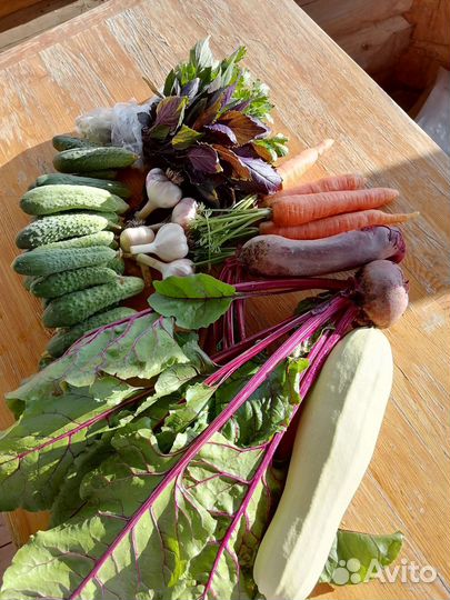 Малина садовая, земляника садовая