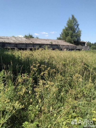 Ферма животноводческая 1000 кв м