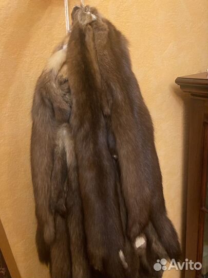 Шкурки соболя