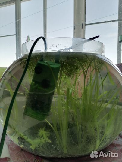 Аквариум