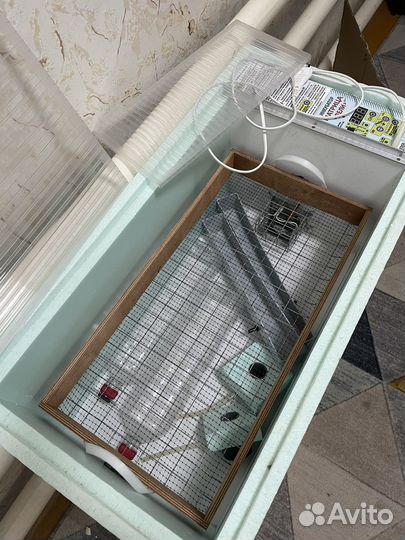 Инкубатор блиц 72