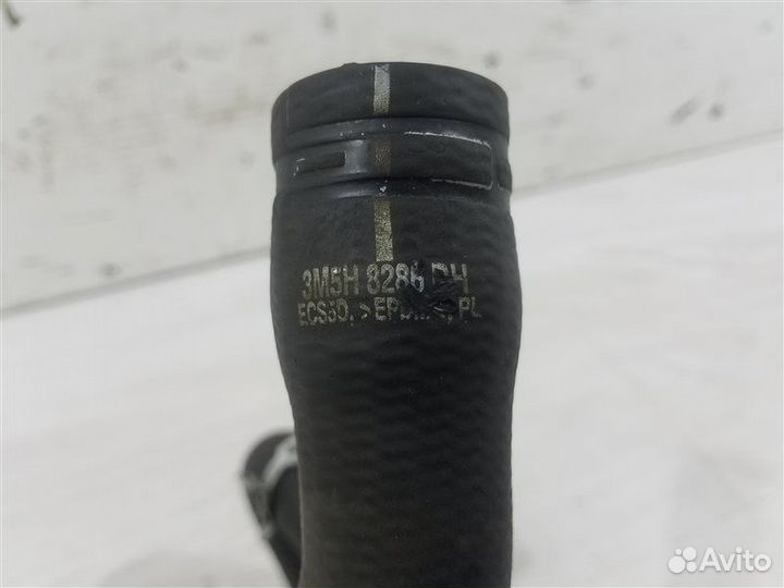 Патрубок радиатора нижний Ford Focus 2 (08-11)