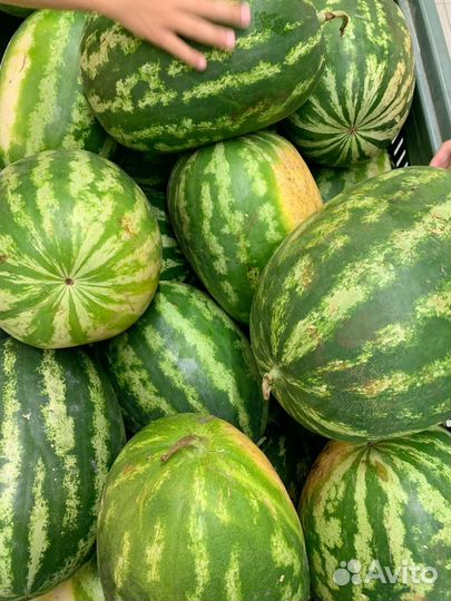 Сладкие вкусные арбузы