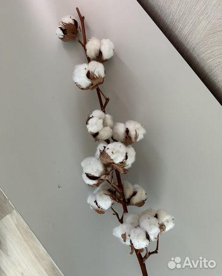 Ветка хлопка, декор