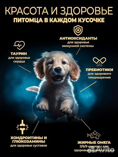 Корм для собак и кошек