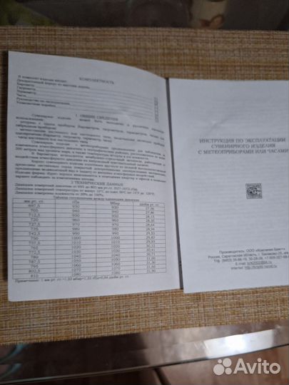 Метеостанция настенная с рындой