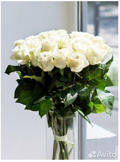 Розы белые 28 шт Мондиаль