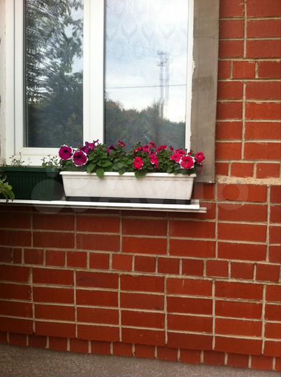 Дом 55,8 м² на участке 12,8 сот.